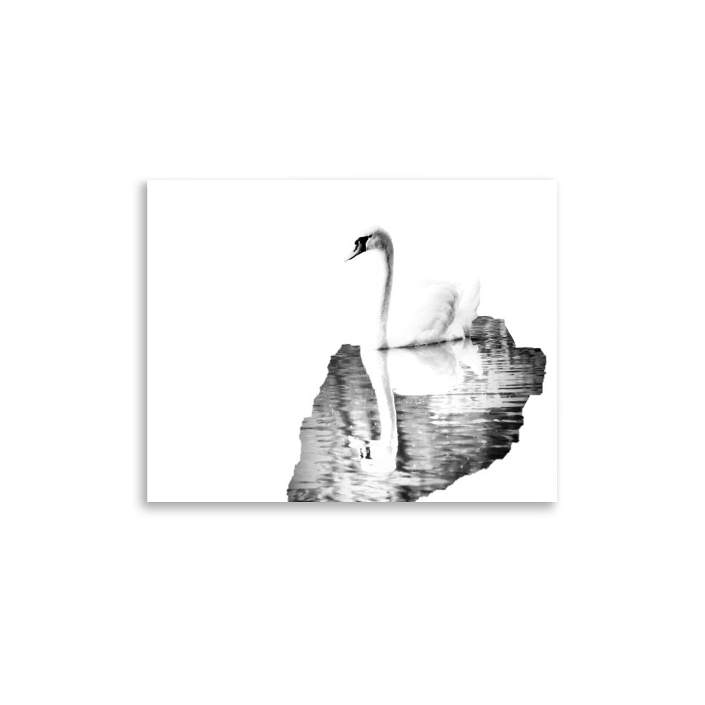 Swan - Black & White - Art Print