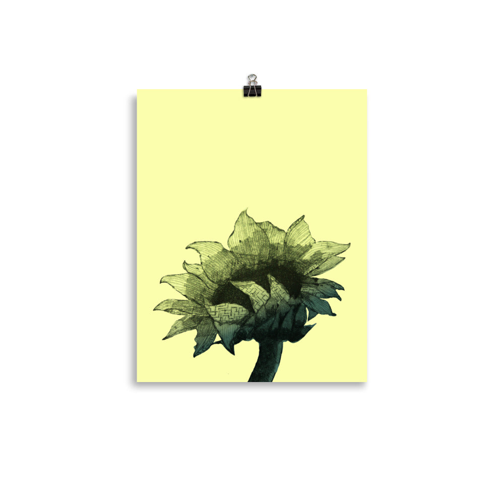 Sunflower - Parchment - Art Print