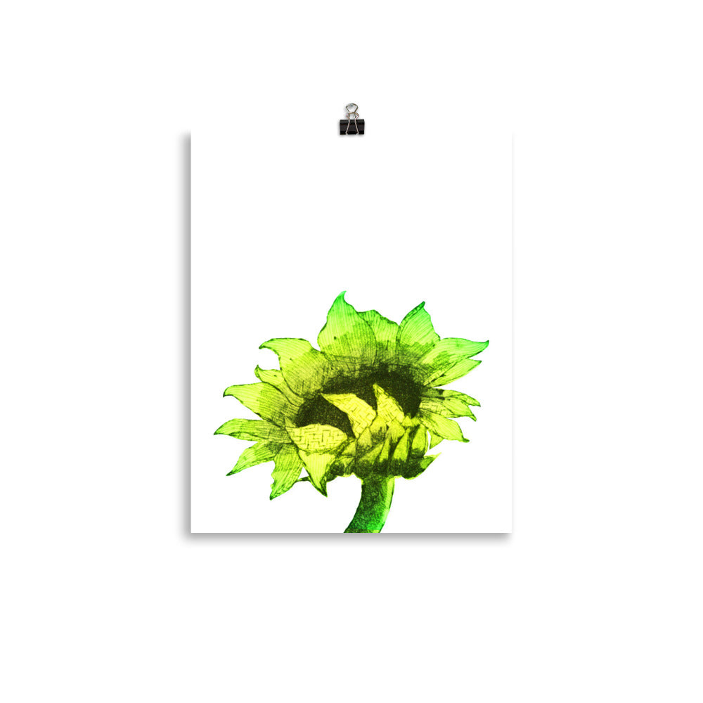 Sunflower - Sunny - Art Print