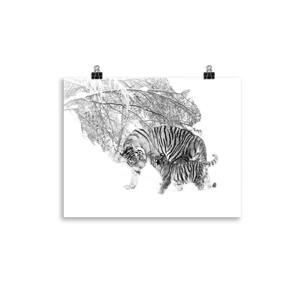 Tigers - Limited Edition - Black & White - Art Print