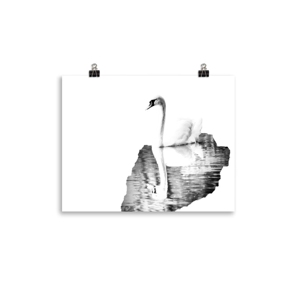 Swan - Black & White - Art Print