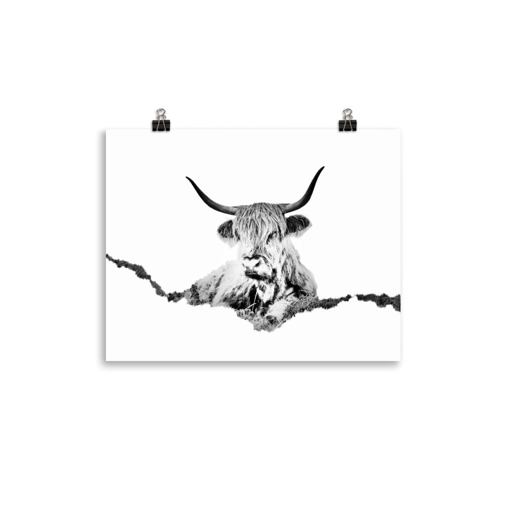 Highland Cow - Black & White - Art Print