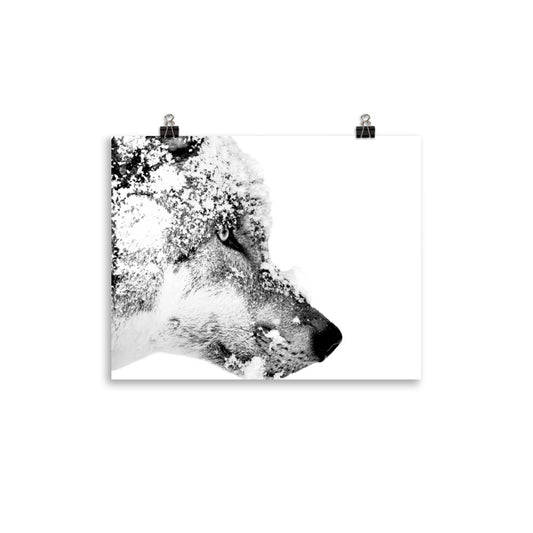Black and white image of a wolf face with snow on a white poster.  