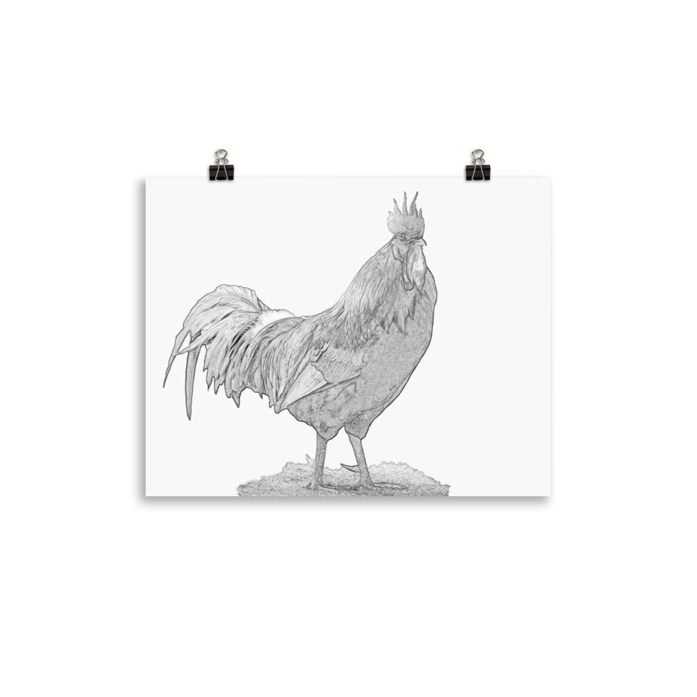 Rooster - Black & White - Art Print