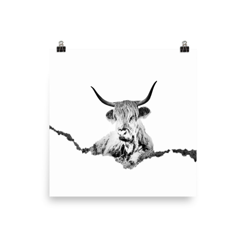 Highland Cow - Black & White - Art Print