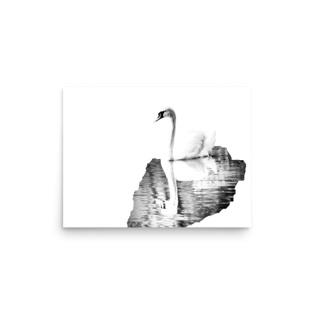 Swan - Black & White - Art Print