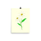 Daisy Day - Paris Daisy - Art Print