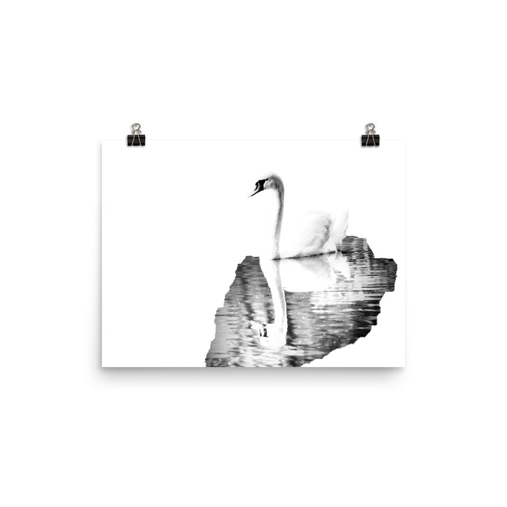 Swan - Black & White - Art Print