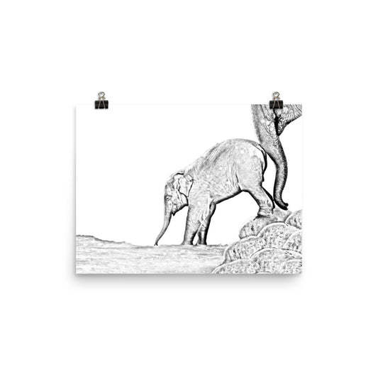 Elephant - Black & White - Art Print