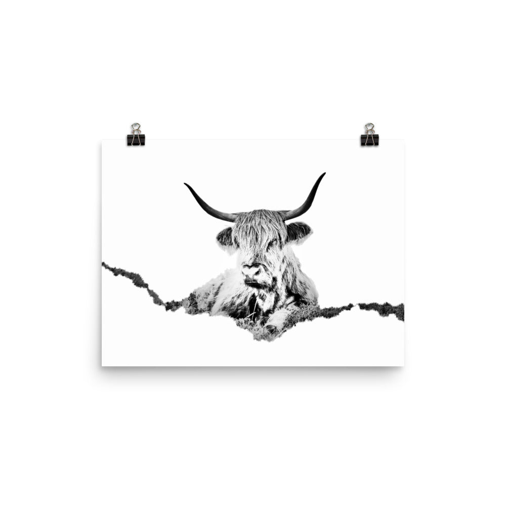 Highland Cow - Black & White - Art Print