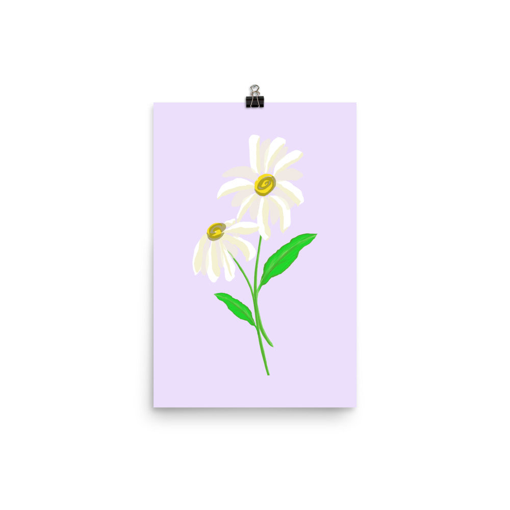 Daisy Day - Selago - Art Print