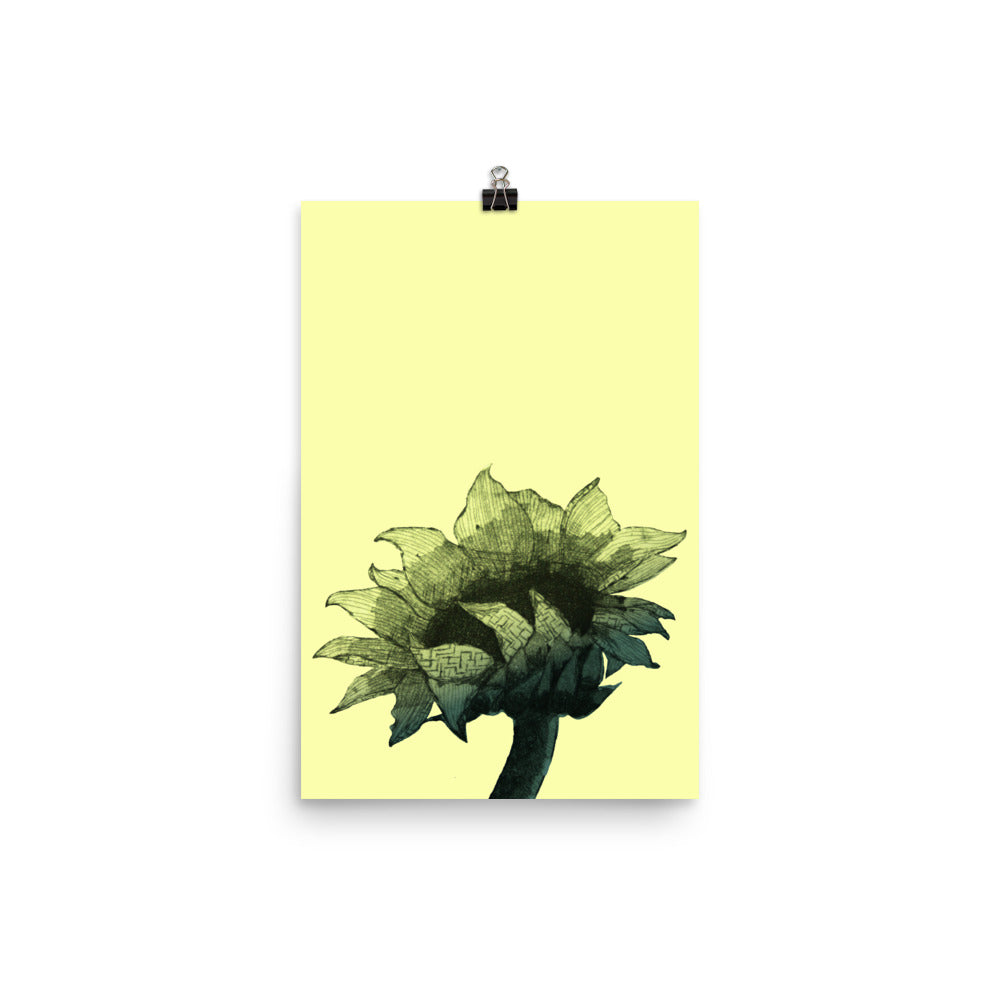 Sunflower - Parchment - Art Print