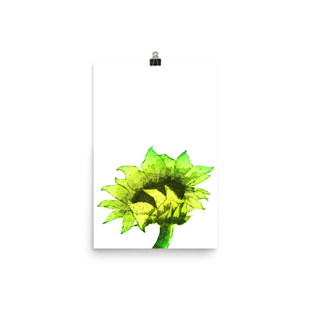 Sunflower - Sunny - Art Print