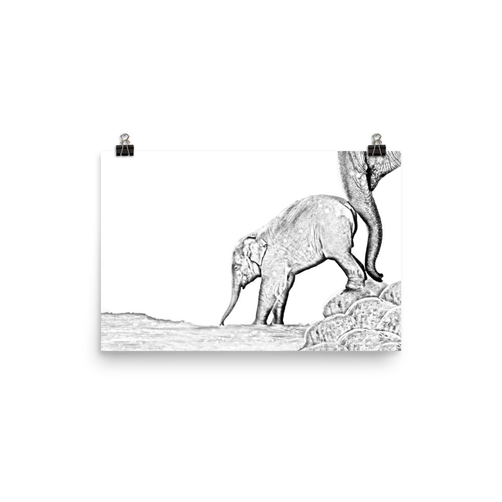 Elephant - Black & White - Art Print