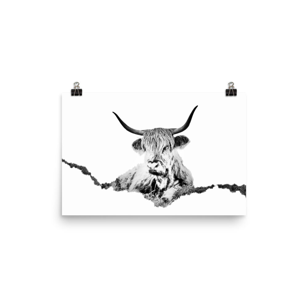 Highland Cow - Black & White - Art Print