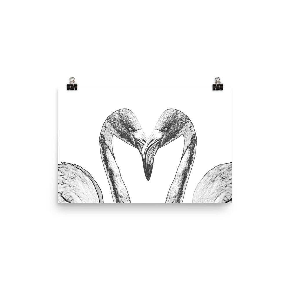 American Flamingo - Black & White - Art Print