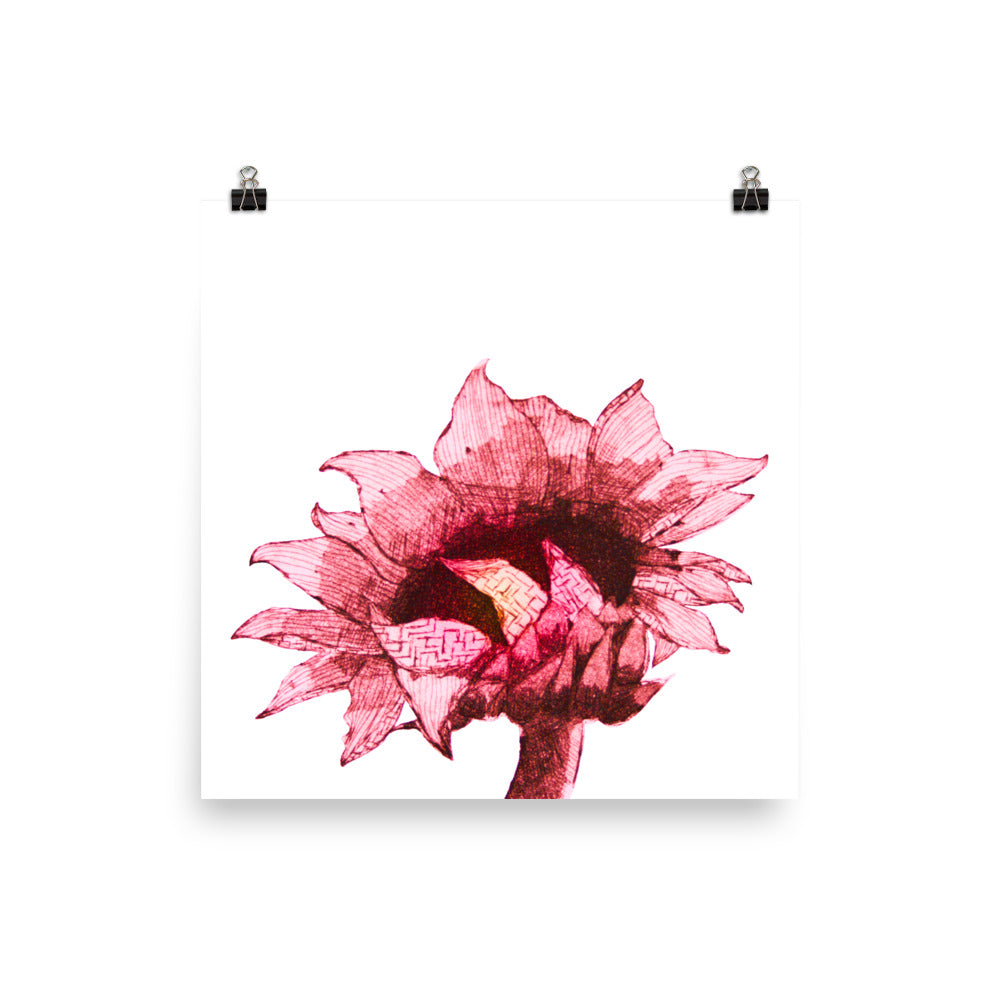 Sunflower - Crimson - Art Print