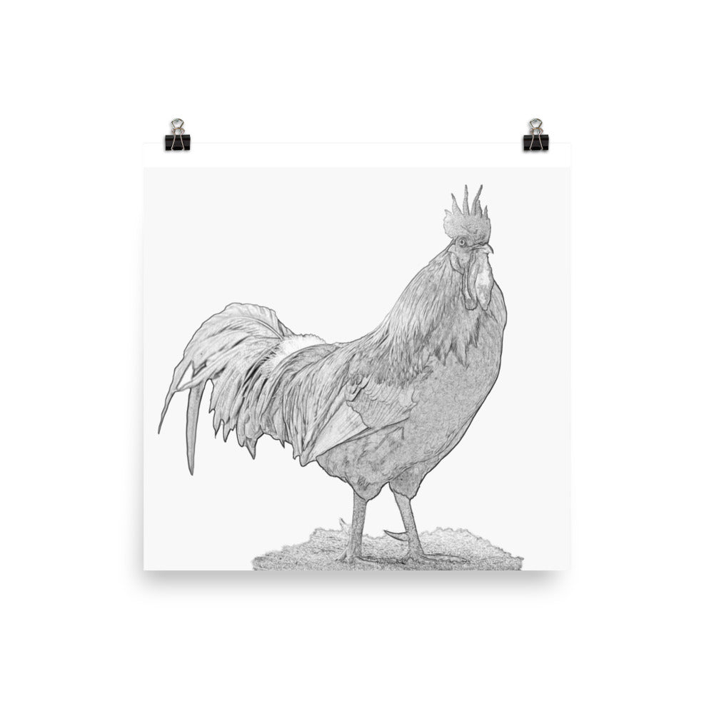 Rooster - Black & White - Art Print