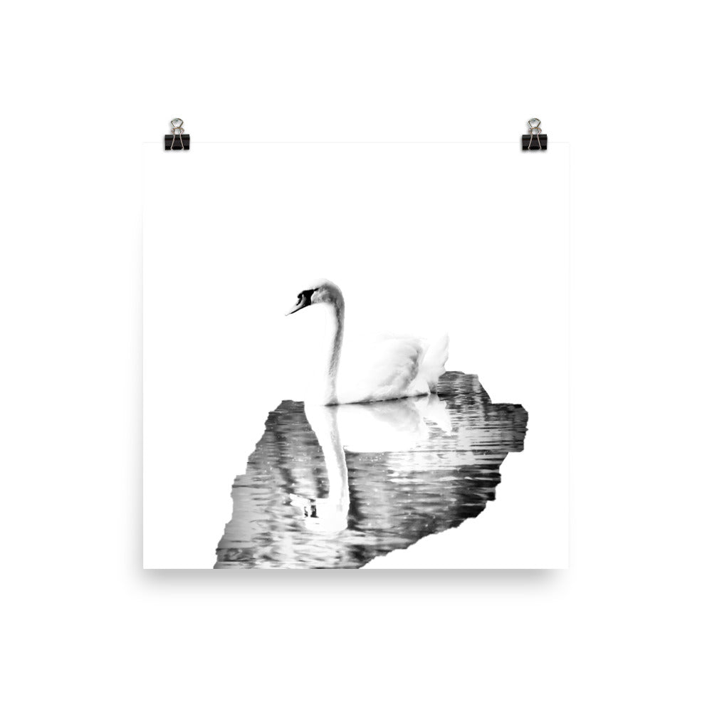 Swan - Black & White - Art Print