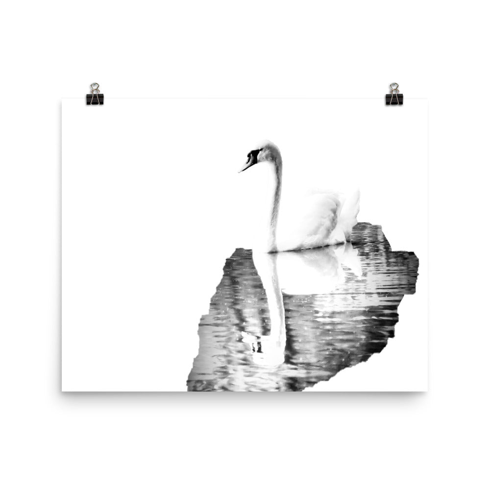 Swan - Black & White - Art Print