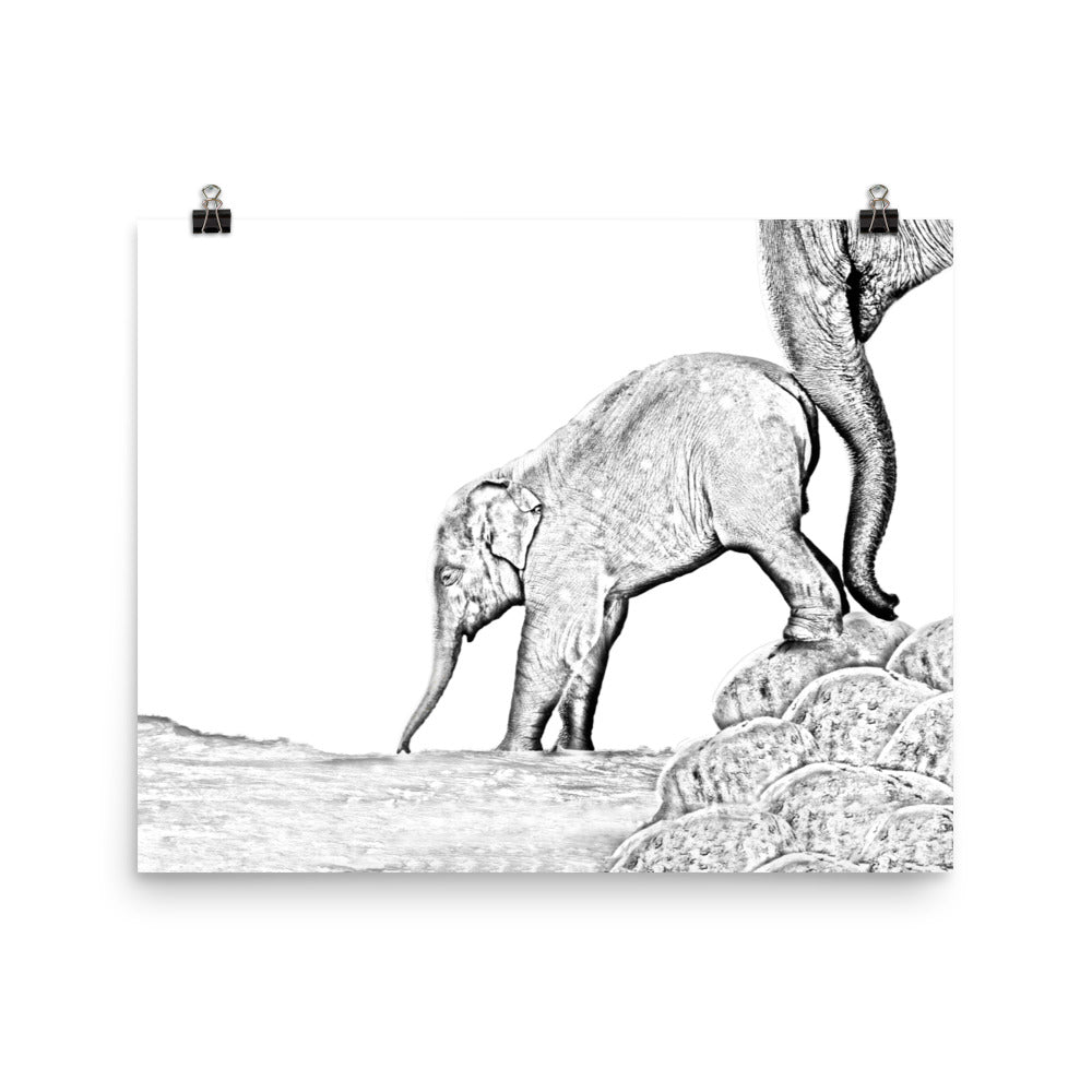 Elephant - Black & White - Art Print