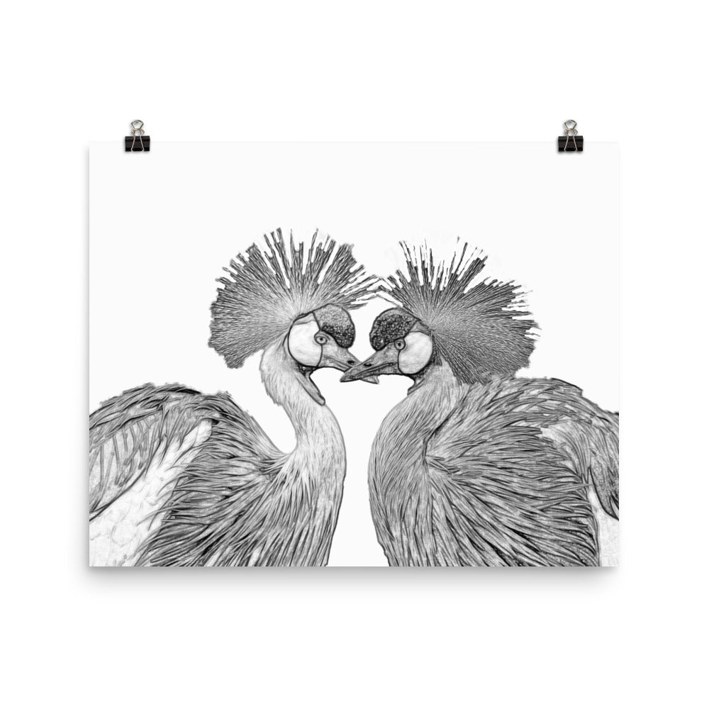 Grey Crowned Cranes - Black & White - Art Print