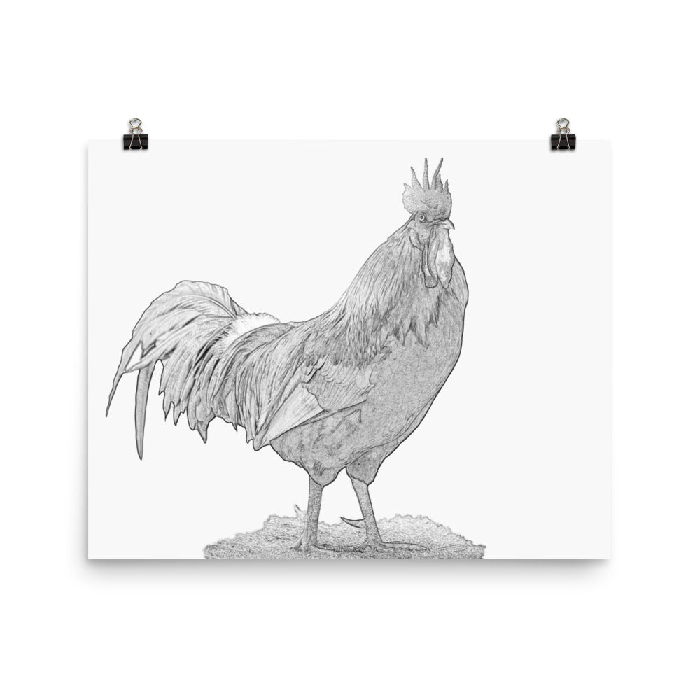 Rooster - Black & White - Art Print