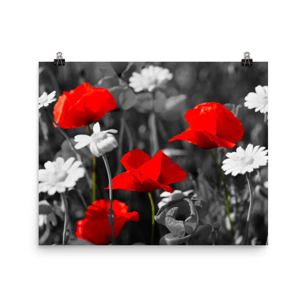 Pop of Vivid Red - Art Print