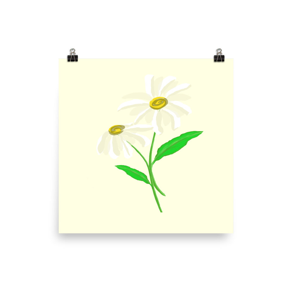 Daisy Day - Paris Daisy - Art Print