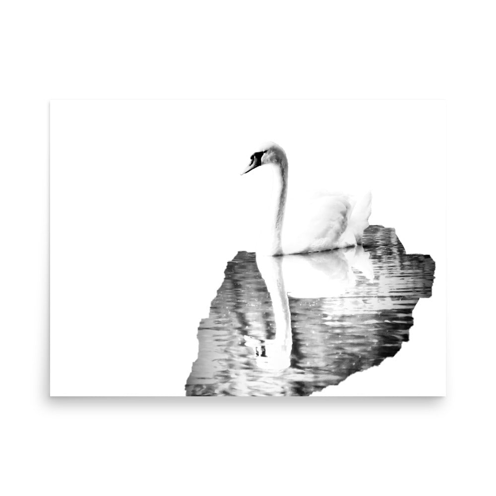 Swan - Black & White - Art Print