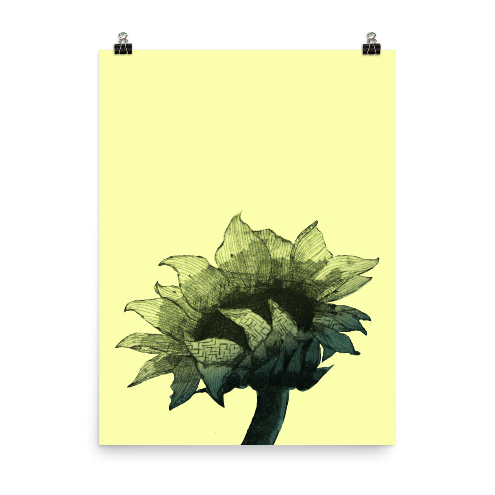 Sunflower - Parchment - Art Print