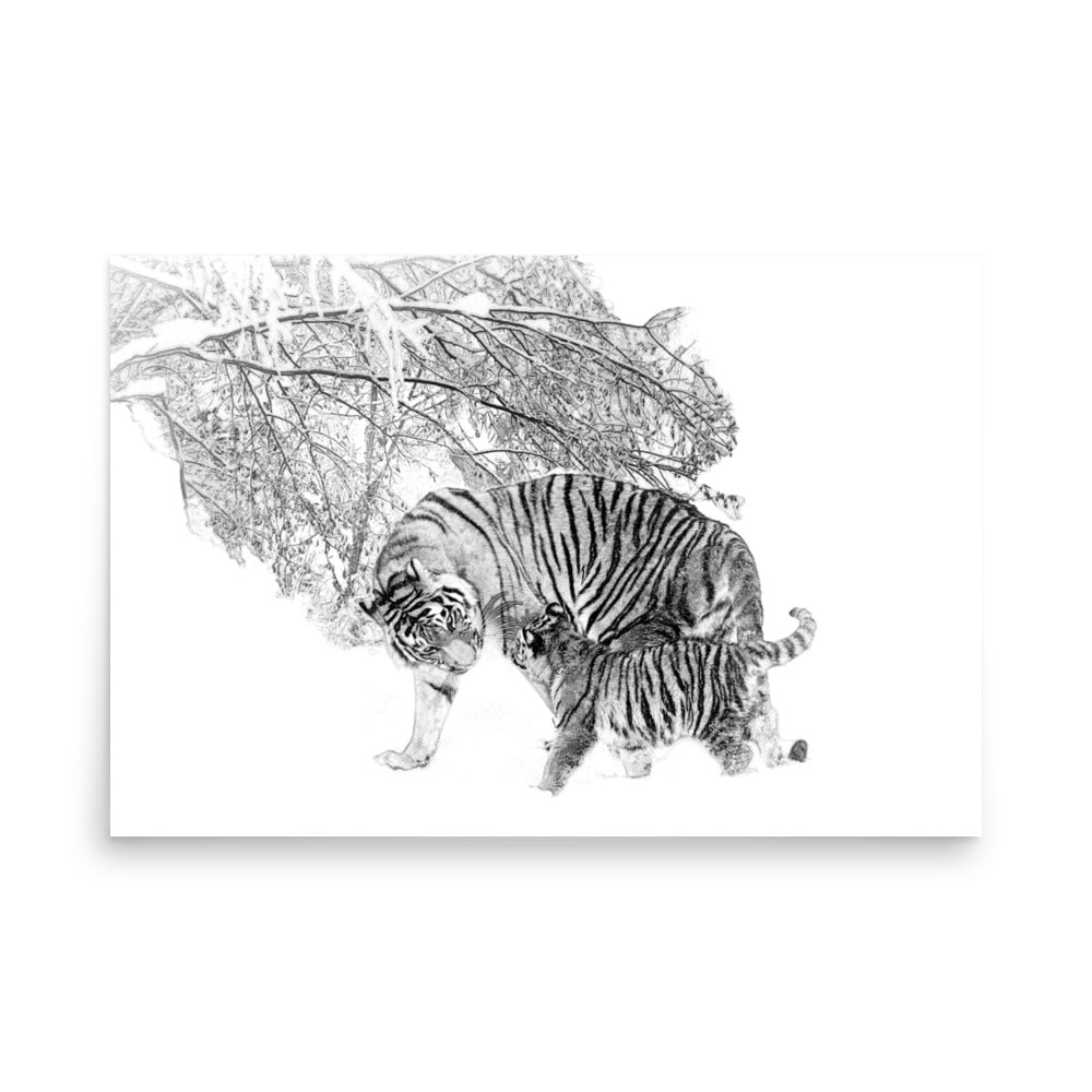 Tigers - Limited Edition - Black & White - Art Print