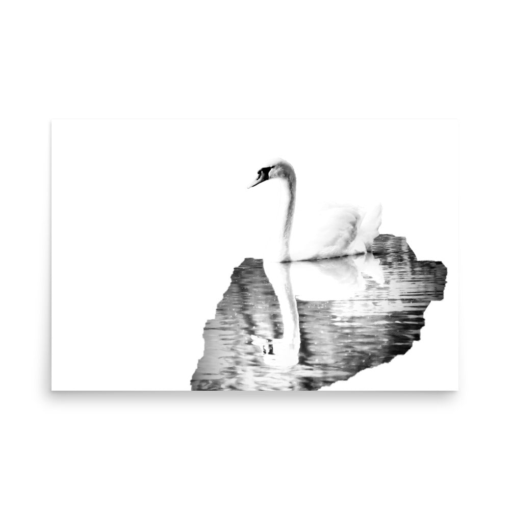 Swan - Black & White - Art Print
