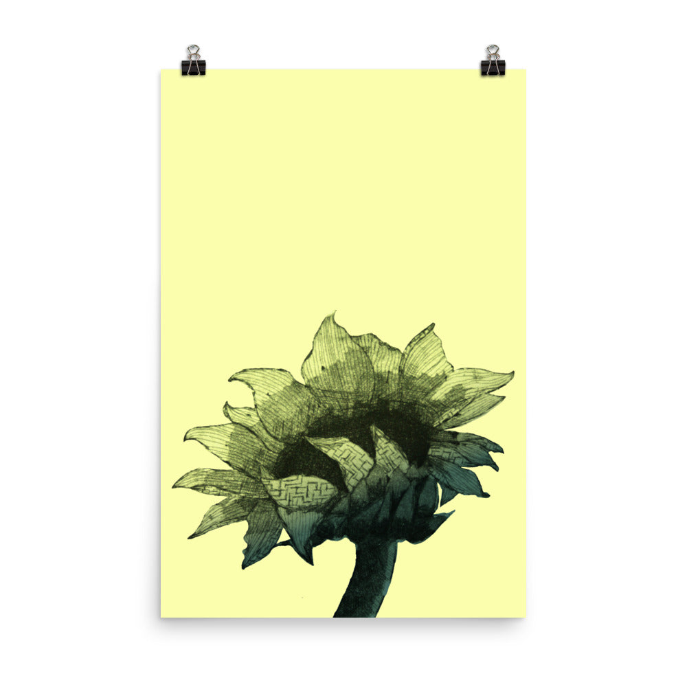 Sunflower - Parchment - Art Print