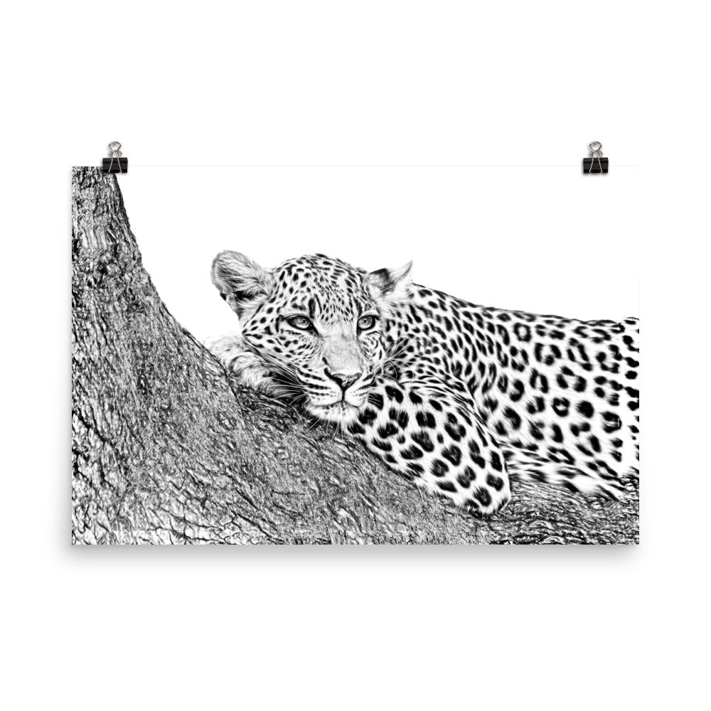 Leopard - Black & White - Art Print