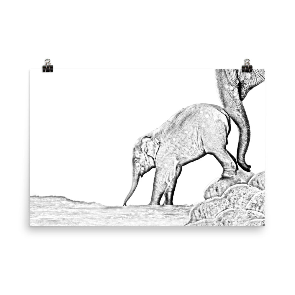 Elephant - Black & White - Art Print