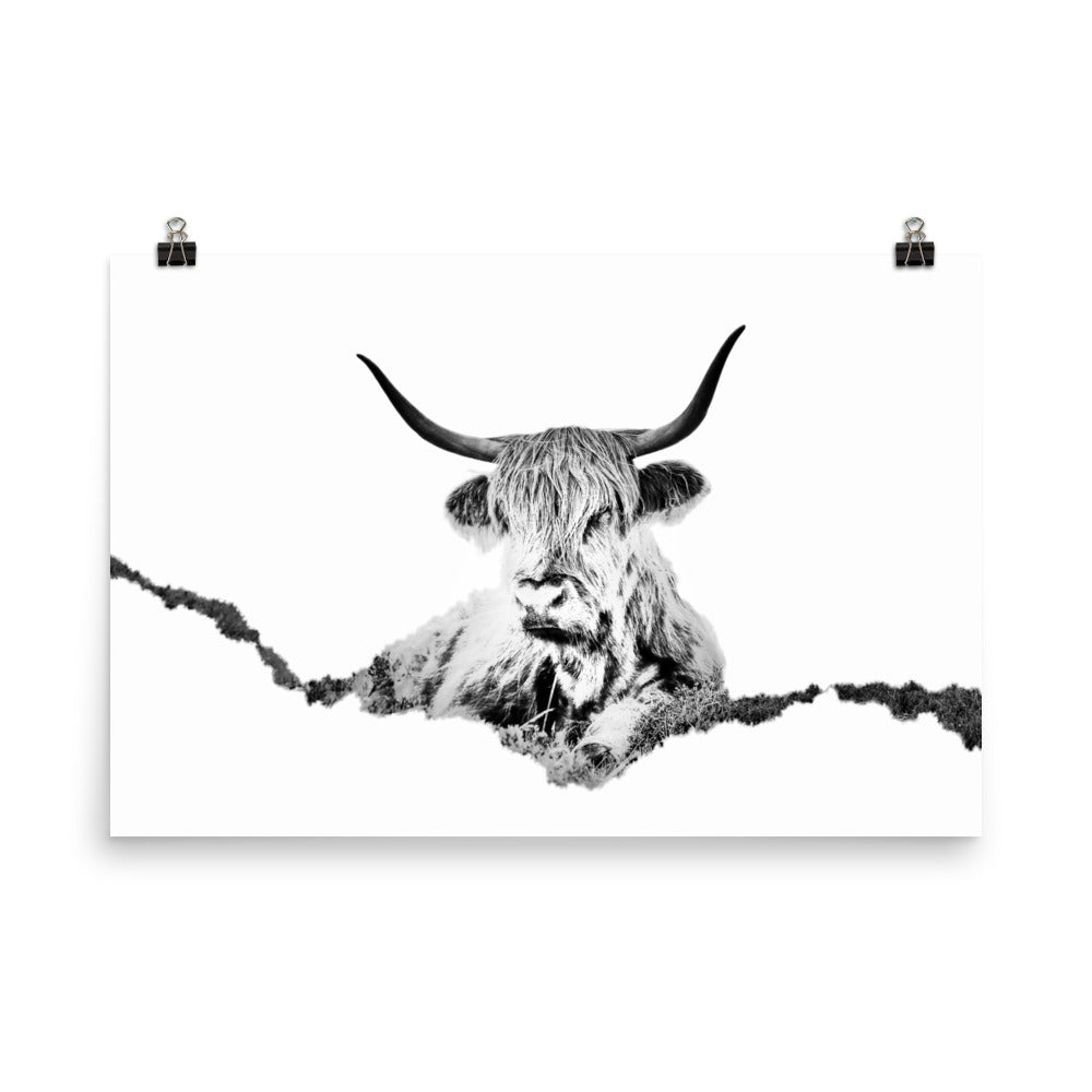 Highland Cow - Black & White - Art Print