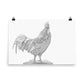 Rooster - Black & White - Art Print