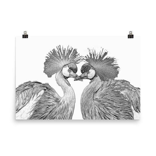 Black and white image of a grey crowned cranes on a white poster.  