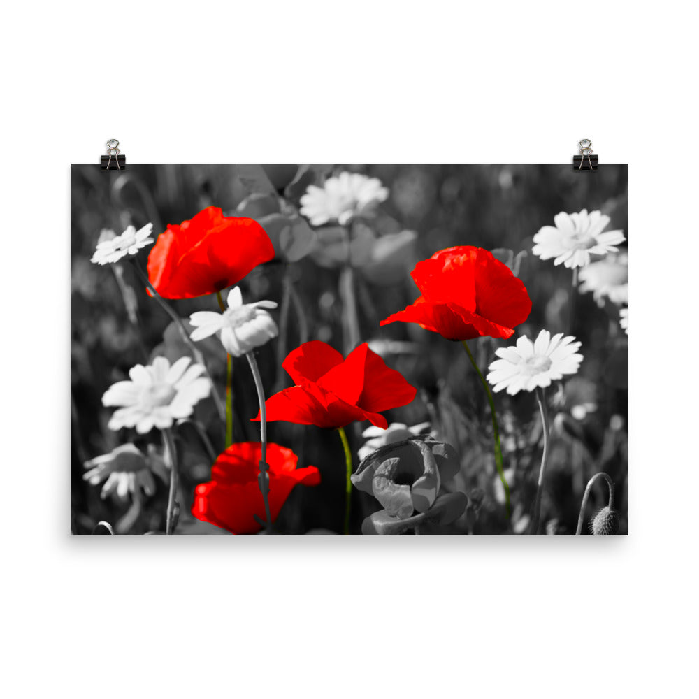 Pop of Vivid Red - Art Print