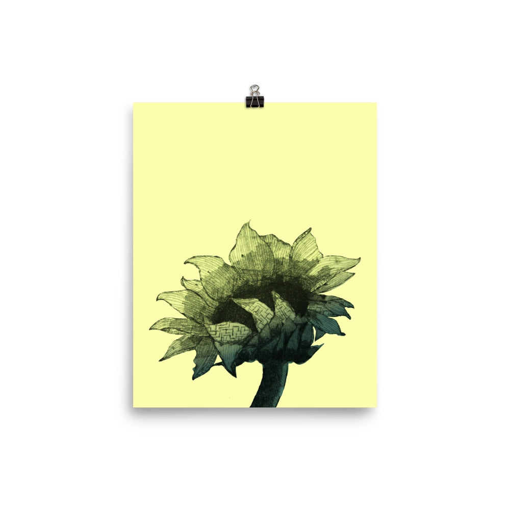 Large sunflower in black on bright yellow background on a poster.  
