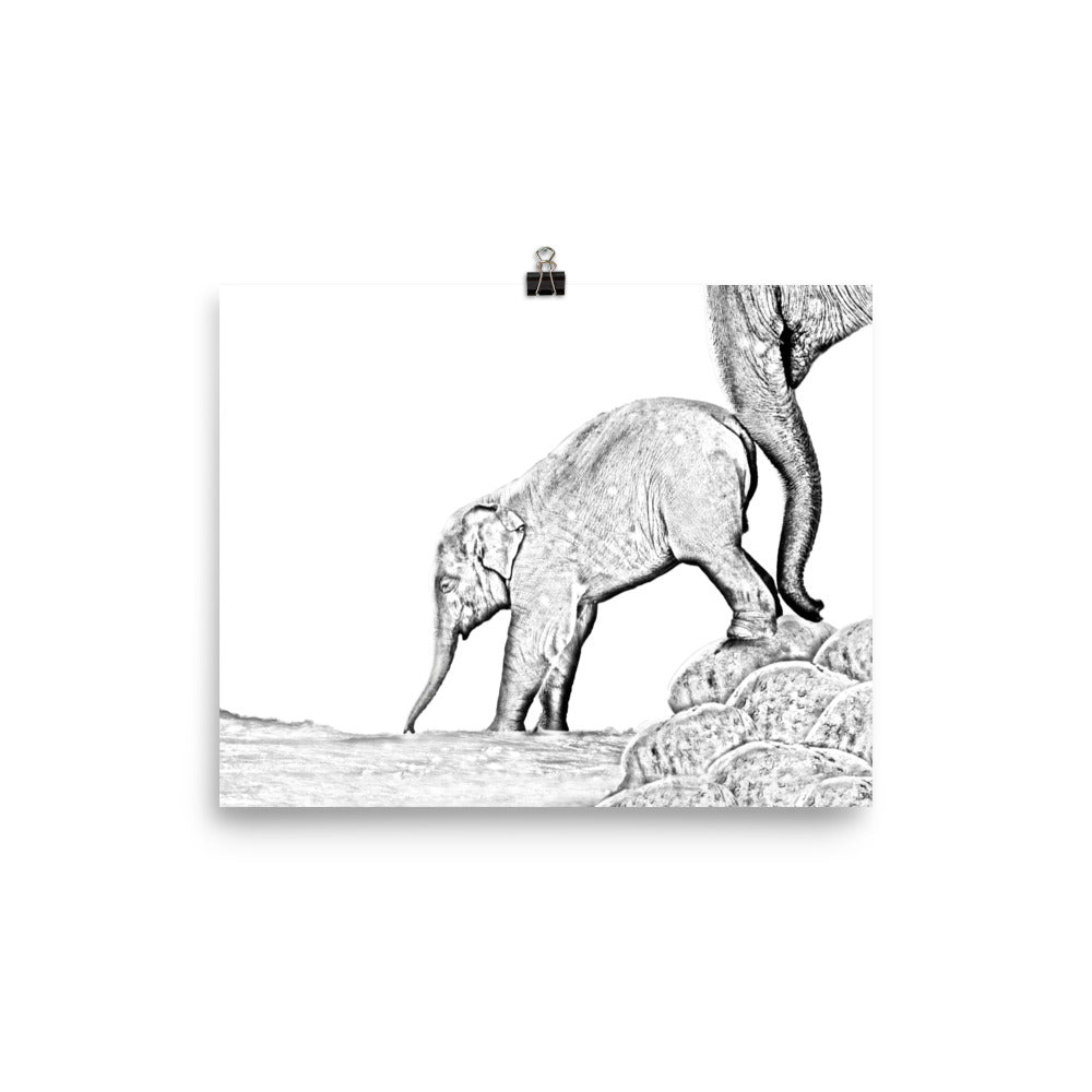 Elephant - Black & White - Art Print