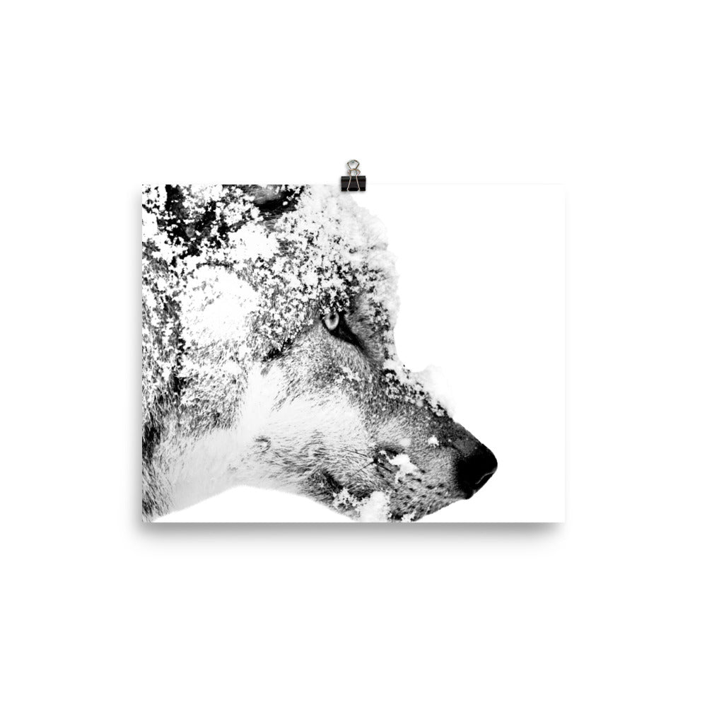 Eurasian Wolf - Black & White - Art Print