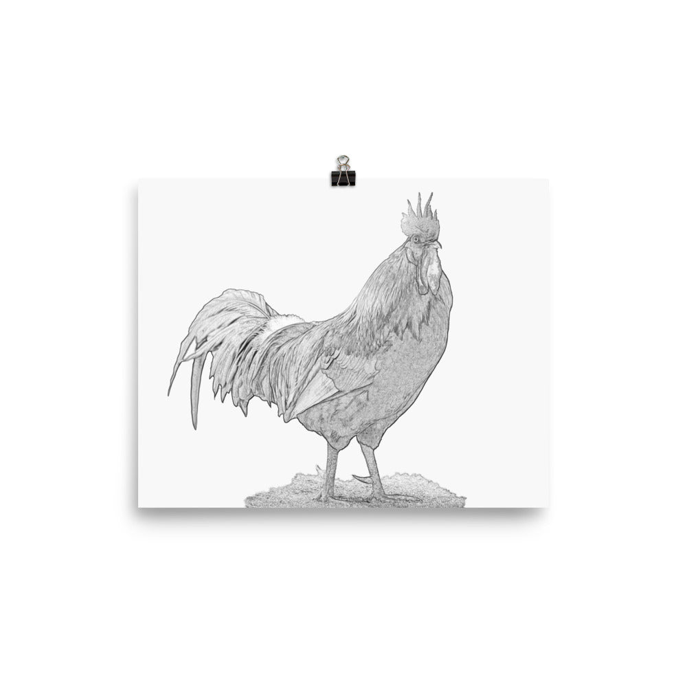 Rooster - Black & White - Art Print