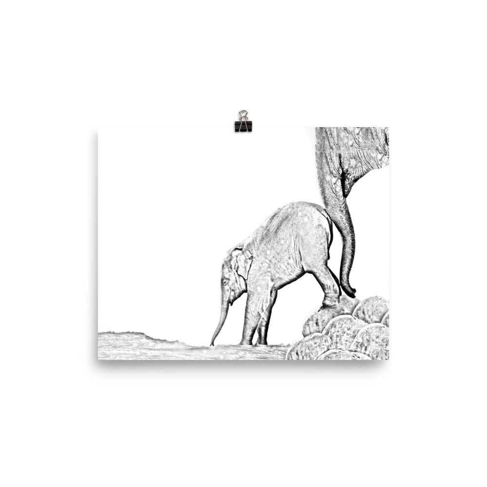 Elephant - Black & White - Art Print