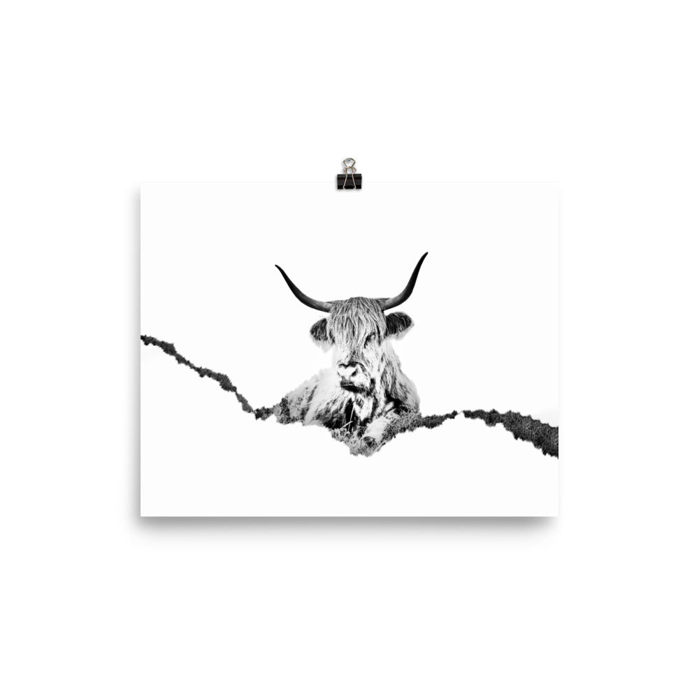 Highland Cow - Black & White - Art Print