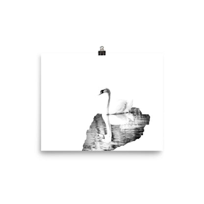 Swan - Black & White - Art Print