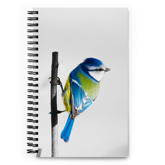 Pop of Cobalt Blue - BuJo Spiral Notebook
